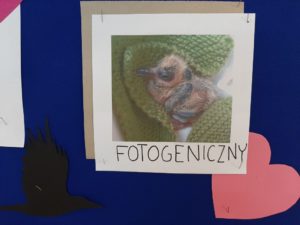 zdjęcia 2020 luty 304