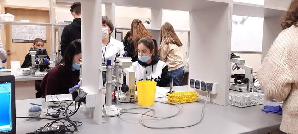 przygotowanie preparatów mikroskopowych podczas warsztatów świat mikroorganizmów